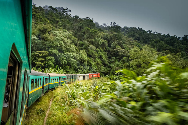 Tren tropical atravesando la selva
 - Foto, Imagen