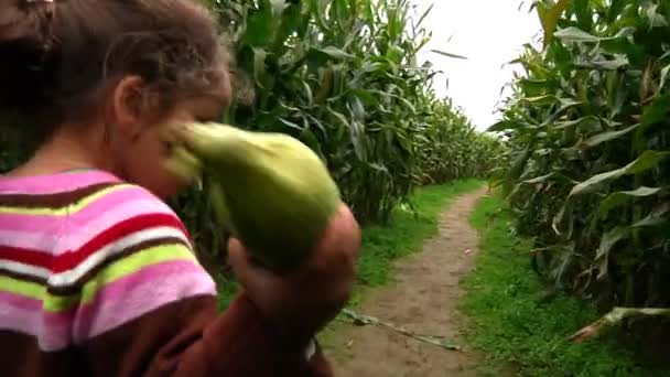 A little girl walks through a corn maze - Video