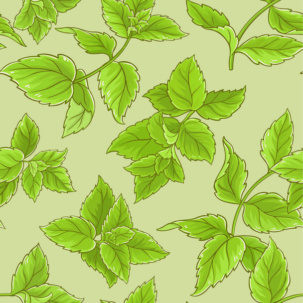 peppermint  vector seamless pattern - Vector, Image