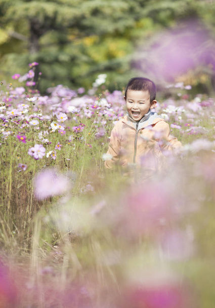Щасливий китайський дитини хлопчик працює Calliopsis вишні - Фото, зображення