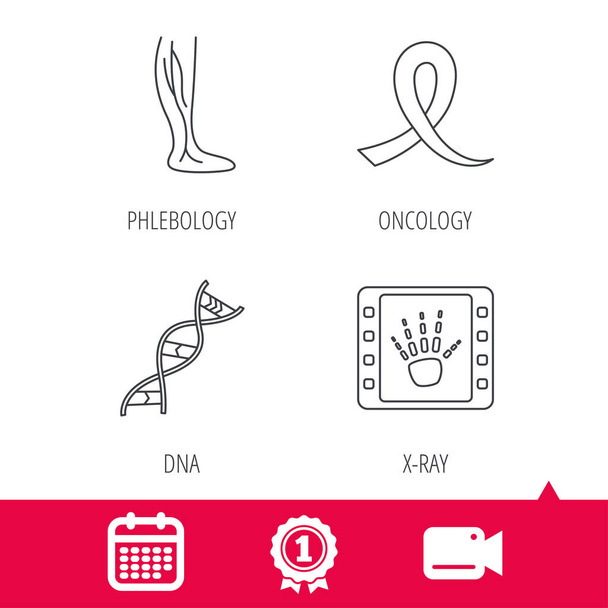 Phlebology, DNA and X-ray icons. - Вектор, зображення