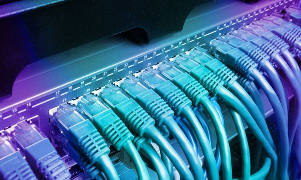 Cremalheira de servidor com cabos de cabo de patch de internet azul
 - Foto, Imagem