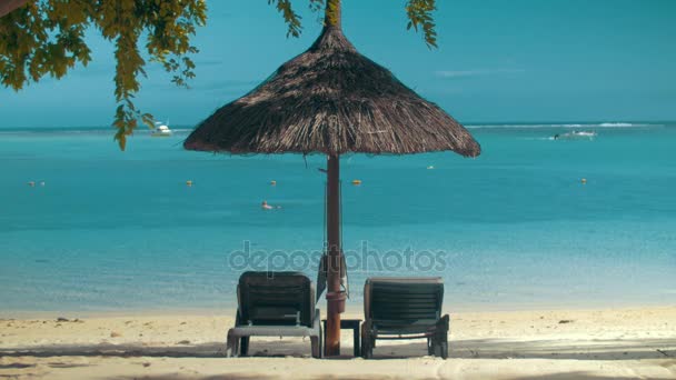 長椅子 longues と太陽の傘の海の海岸 - 映像、動画