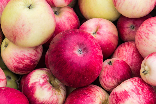 tausta monia kauniita, mehukas punainen ja vihreä omenat
 - Valokuva, kuva