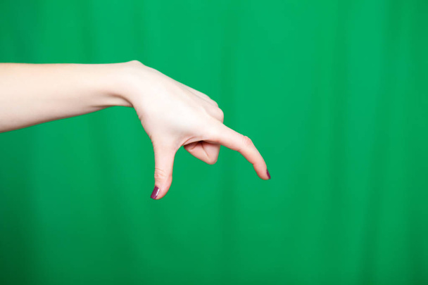 女性の手の指 - 写真・画像