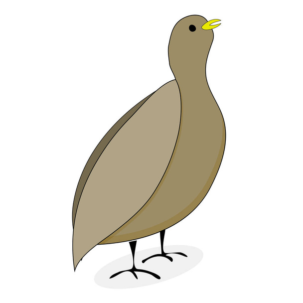 Fürjet madár karakter vektor - Vektor, kép