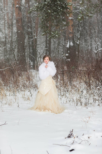 Portrait of beautiful winter bride. - Zdjęcie, obraz