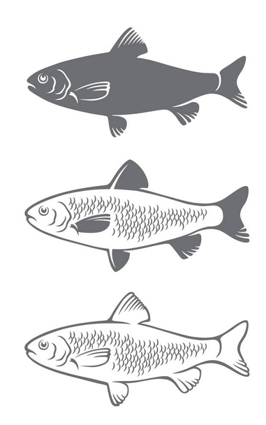 Caranx hal-embléma - Vektor, kép
