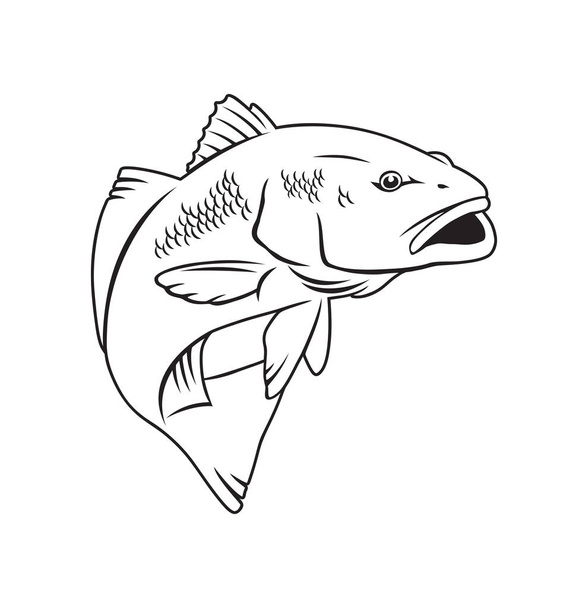 Punainen kala logosta
 - Vektori, kuva