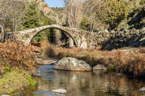 コルシカ島の Tartagine 谷の古いジェノヴァ橋 - 写真・画像
