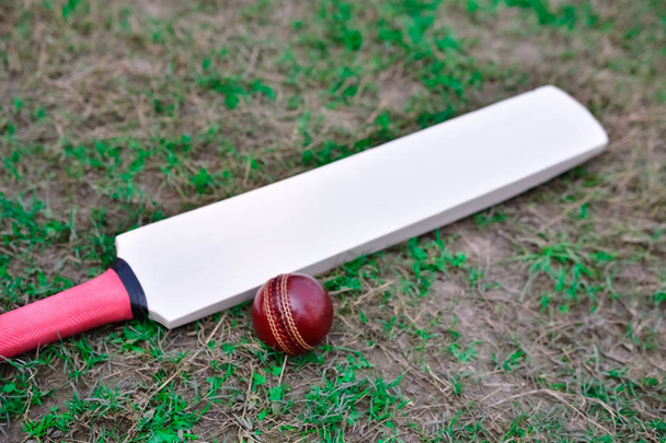 Cricket bat and ball - Foto, afbeelding