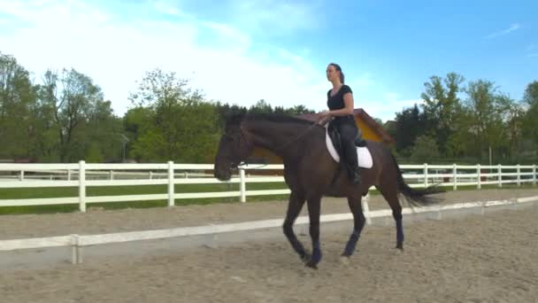 Giovane cavallerizza che cammina con il cavallo su lunghe redini, riscaldandolo per l'allenamento
 - Filmati, video