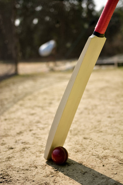 Cricket bat and ball  - Foto, afbeelding