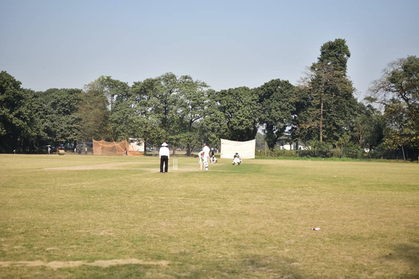 Jugando cricket en el campo
  - Foto, imagen
