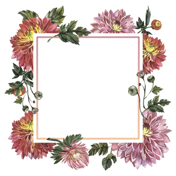 Wildflower aster flower frame in a watercolor style isolated. - Foto, immagini