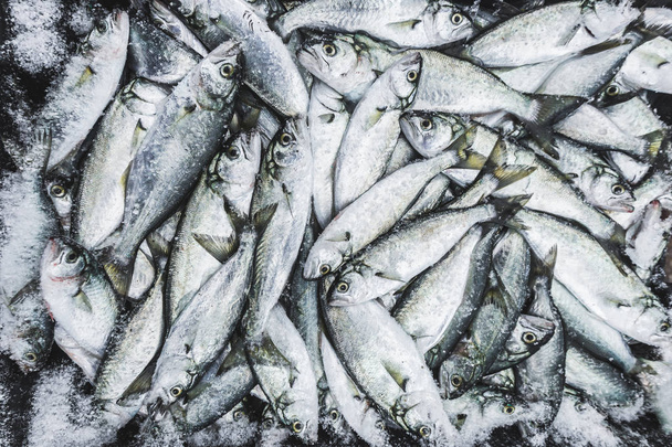 Fresh fish in market for sale - Zdjęcie, obraz