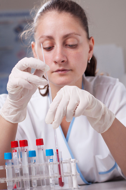 Woman researching in lab. - Foto, Bild