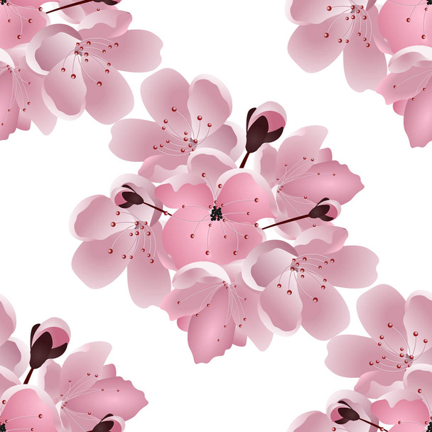 Japanese cherry. Seamless. Bouquet of pink sakura blossom with bud. Isolated on white background. illustration - Vector, imagen