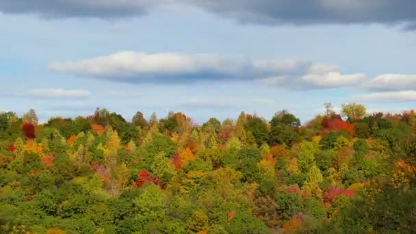 西部のペンシルバニアの秋の紅葉 - 映像、動画