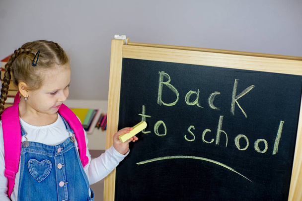 young schoolgirl near the blackboard - Foto, Imagem