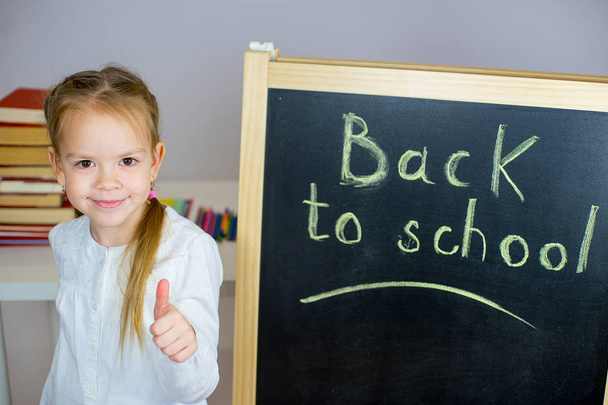 young schoolgirl near the blackboard - Photo, Image