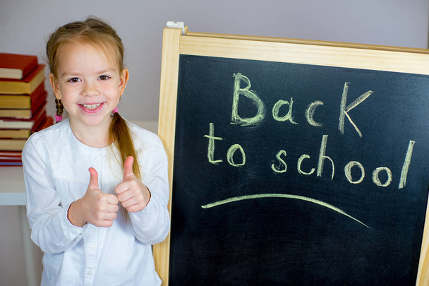 young schoolgirl near the blackboard - Fotó, kép