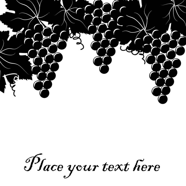 Fundo com cacho de uvas e lugar para o seu texto
 - Vetor, Imagem