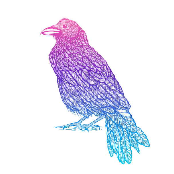 Illustration of raven line art style. Vector illustration of crow hand drawn - Διάνυσμα, εικόνα