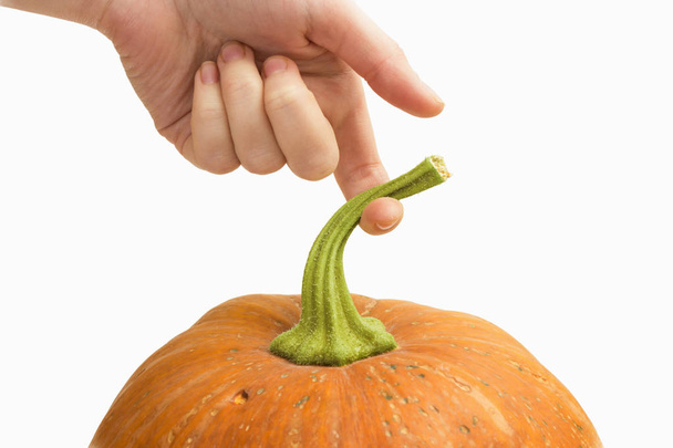 Hand holding a large orange pumpkin - Photo, image