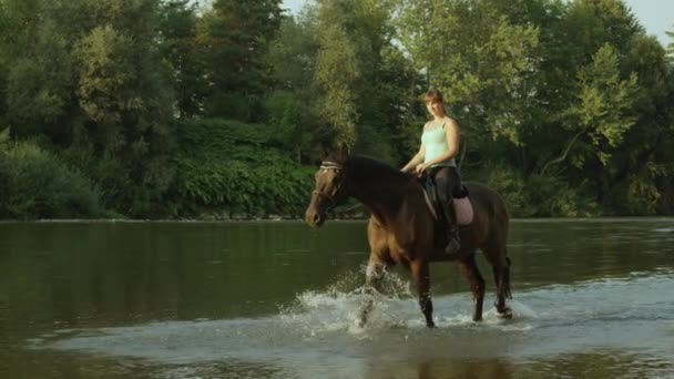 Lassú mozgás: Fiatal, mosolygós lány lovas lovaglás sekély folyó - Felvétel, videó