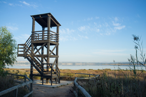 Observation tower - Zdjęcie, obraz