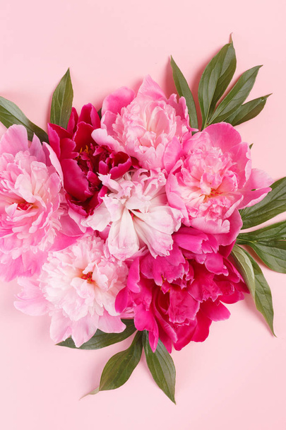 nice pink peonies - Фото, изображение