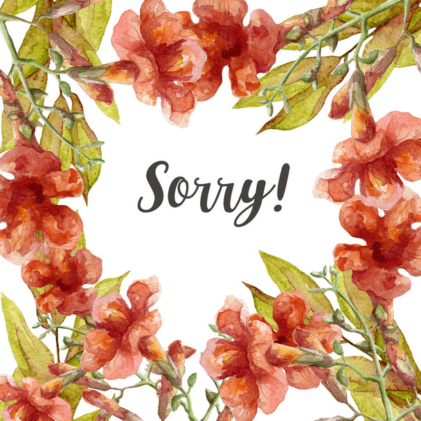 Entschuldigung Karte mit Aquarellblumen - Foto, Bild