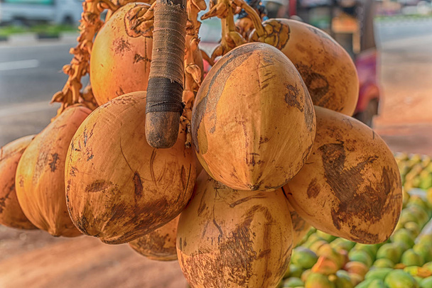 shluk kokosové ořechy - Fotografie, Obrázek