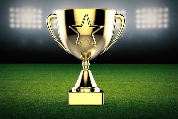 трофей золотой звезды на фоне футбольного поля
 - Фото, изображение