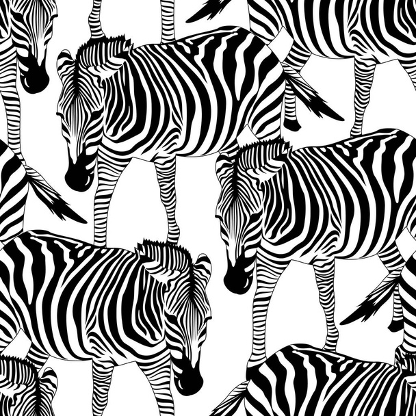 Zebra seamless pattern.  - ベクター画像