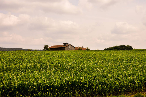 Näkymä viljellylle pellolle maaseudulla - Valokuva, kuva