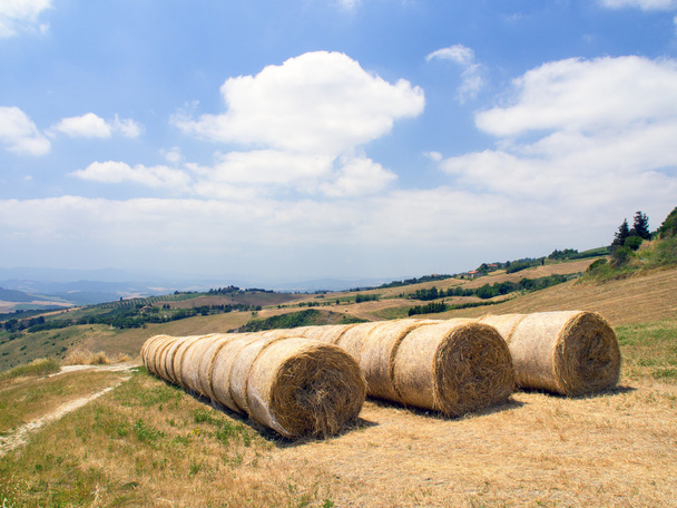 Panoramablick auf den toskanisch-emilianischen Apennin - Foto, Bild