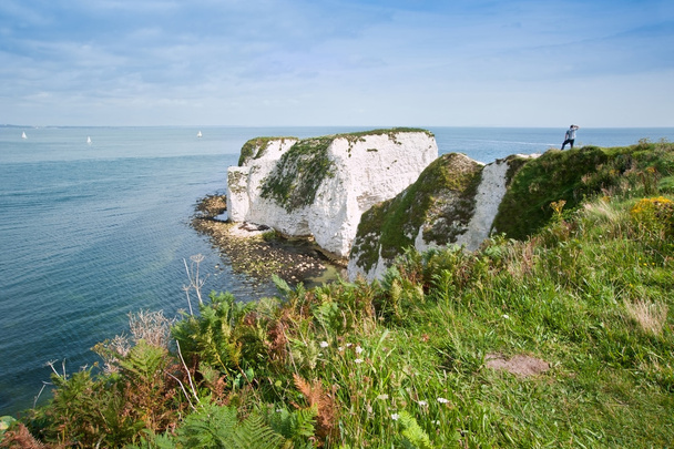 Старый Гарри породы Юрского побережья ЮНЕСКО Дорсет Англии - Фото, изображение
