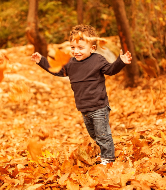 Small boy running in forest - Photo, image