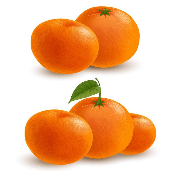Mandarina madura o mandarina
 - Vector, Imagen