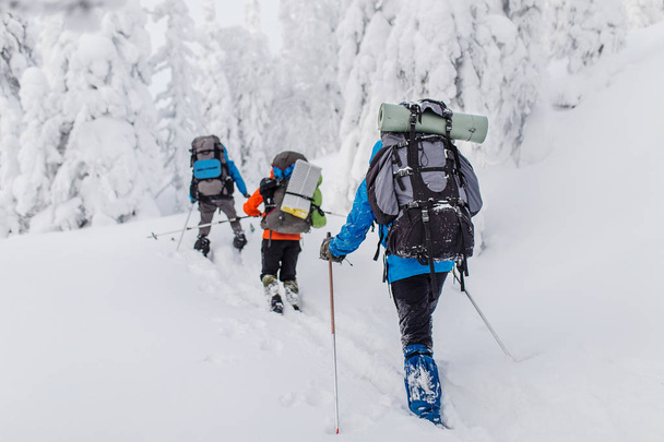 Síelők egy hátizsák, téli hegyek és erdő túrázás csoportja - Fotó, kép