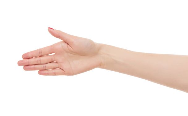 Female hand greeting. - Фото, изображение
