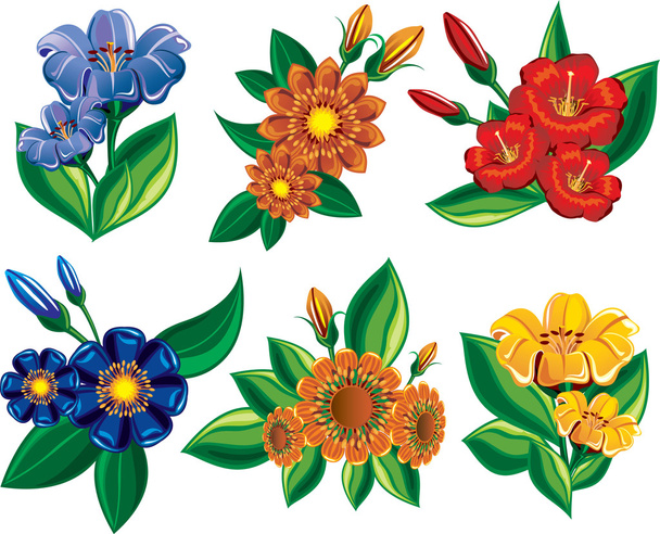 Collection beautiful flowers with leafs - Vector, Imagen