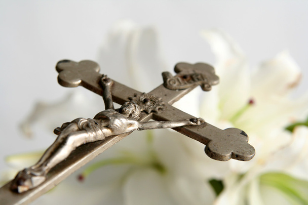 Крестовые и пасхальные лилии
 - Фото, изображение