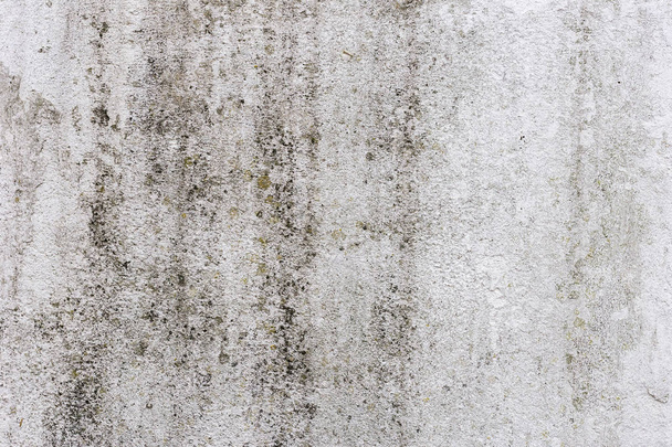 Old grunge textures backgrounds. Perfect background with space. - Photo, Image
