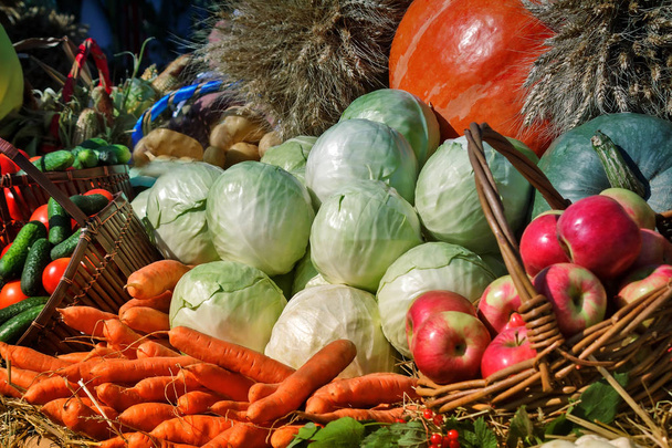 Récolte de légumes est vendu à la foire
. - Photo, image
