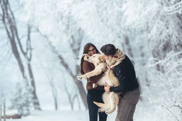 молодая пара веселится в зимнем парке - Фото, изображение