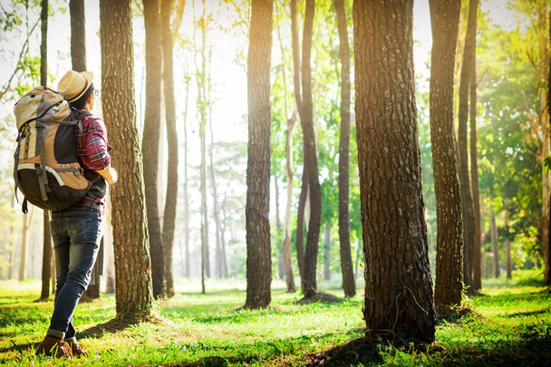 Nuori mies seisoo yksin metsässä ulkona auringonlaskun luonto päällä
 - Valokuva, kuva