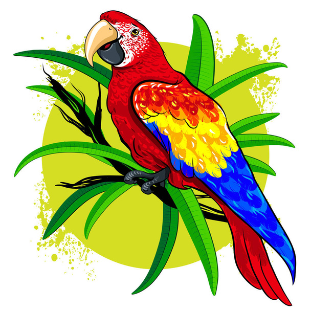векторный рисунок большого яркого цветного попугая на фоне зеленых листьев
 - Вектор,изображение